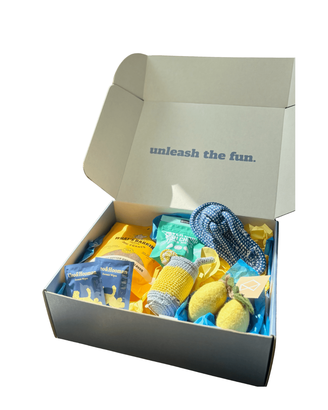 12 month plan - Swaggy Dog