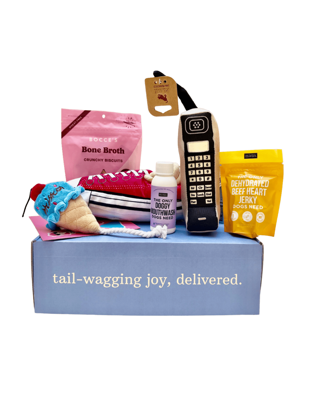 6 month plan - Swaggy Dog