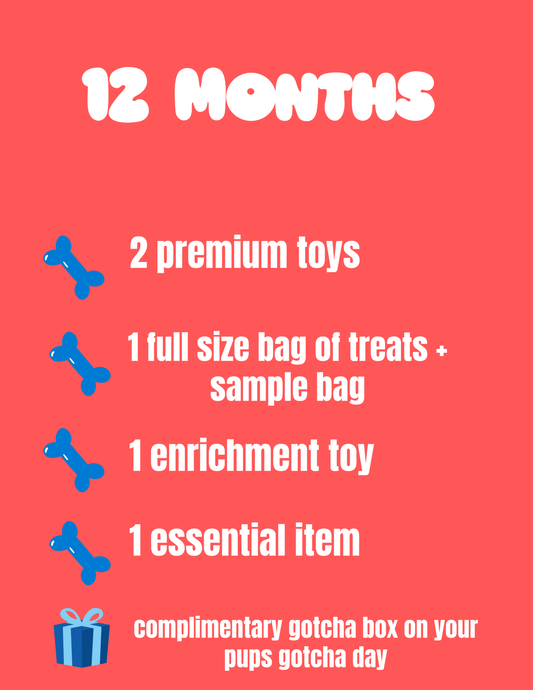 12 month plan - Swaggy Dog