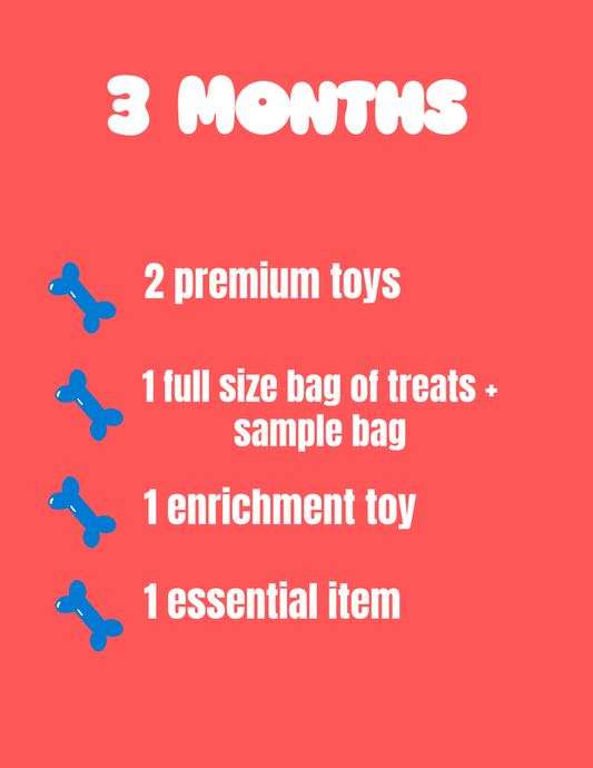 3 month plan - Swaggy Dog